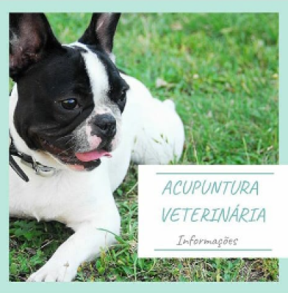 Acupuntura 