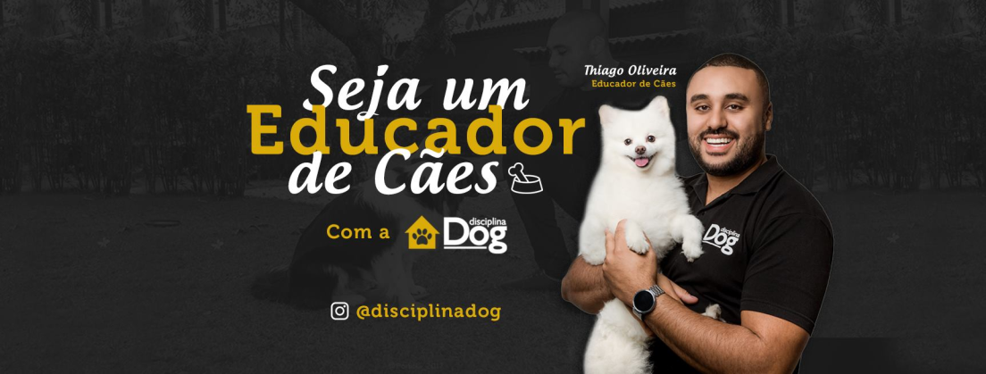 Adestramento de Cães - Disciplina Dog