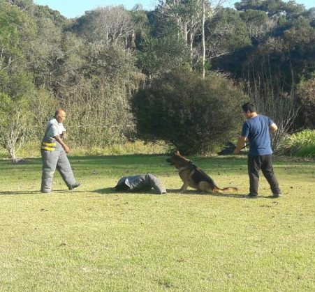 Adestramento de Cães / Hospedagem / Segurança com cães