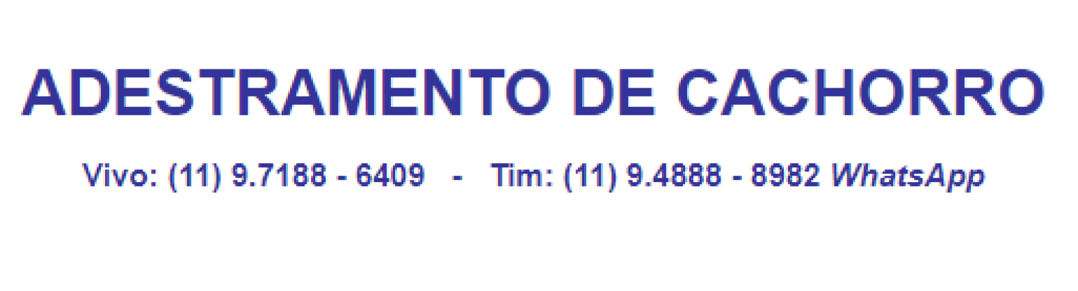 Adestramento Eficiente para Cães