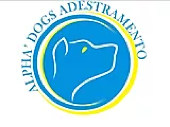 Alpha Dogs Adestramento - Treinador de cachorros