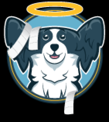 Angel Dogs Treinamento Canino