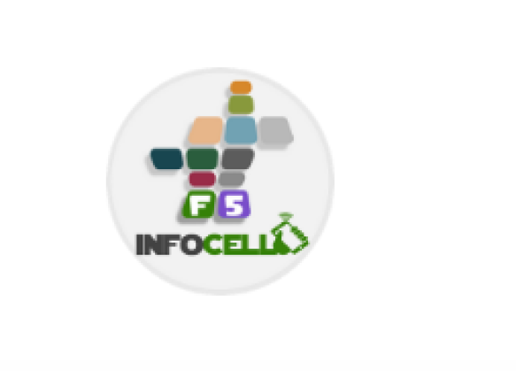 Assistência Especializada