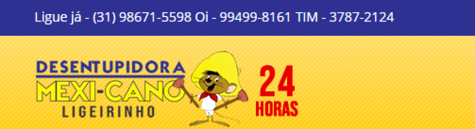 Atua no mercado de desentupimentos