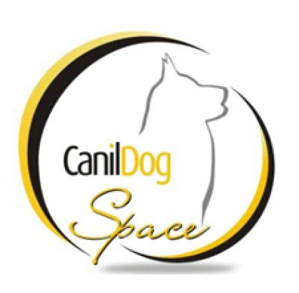 Canil Dog Space