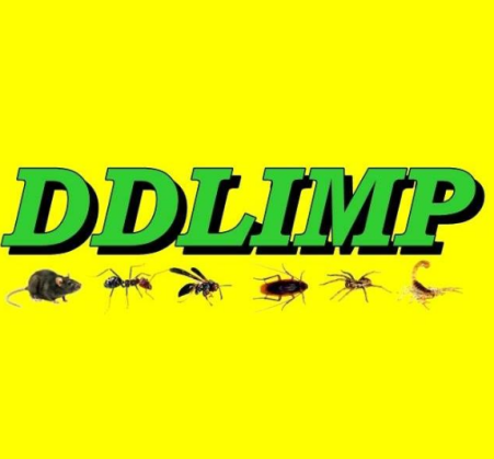 DDLimp Dedetizadora