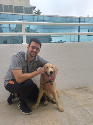 Destramento de Cães a Domicílio 