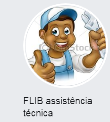 FLIB assistência técnica