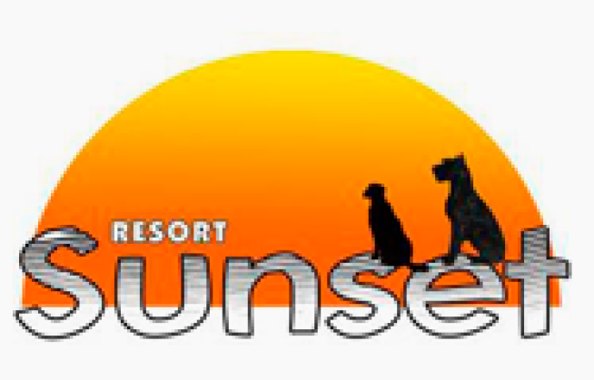 HOTEL E ASILO PARA CÃES