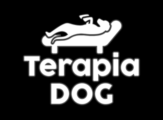 TERAPIA DOG Adestramento e passeio com cães
